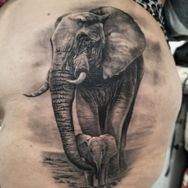 tatouage éléphant