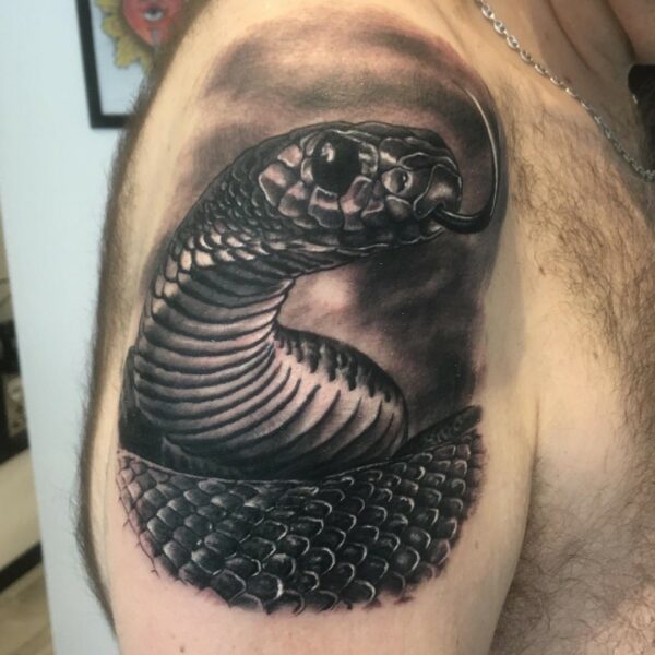 tatouage serpent